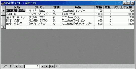 データシートビュー