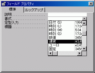 フィールドプロパティ