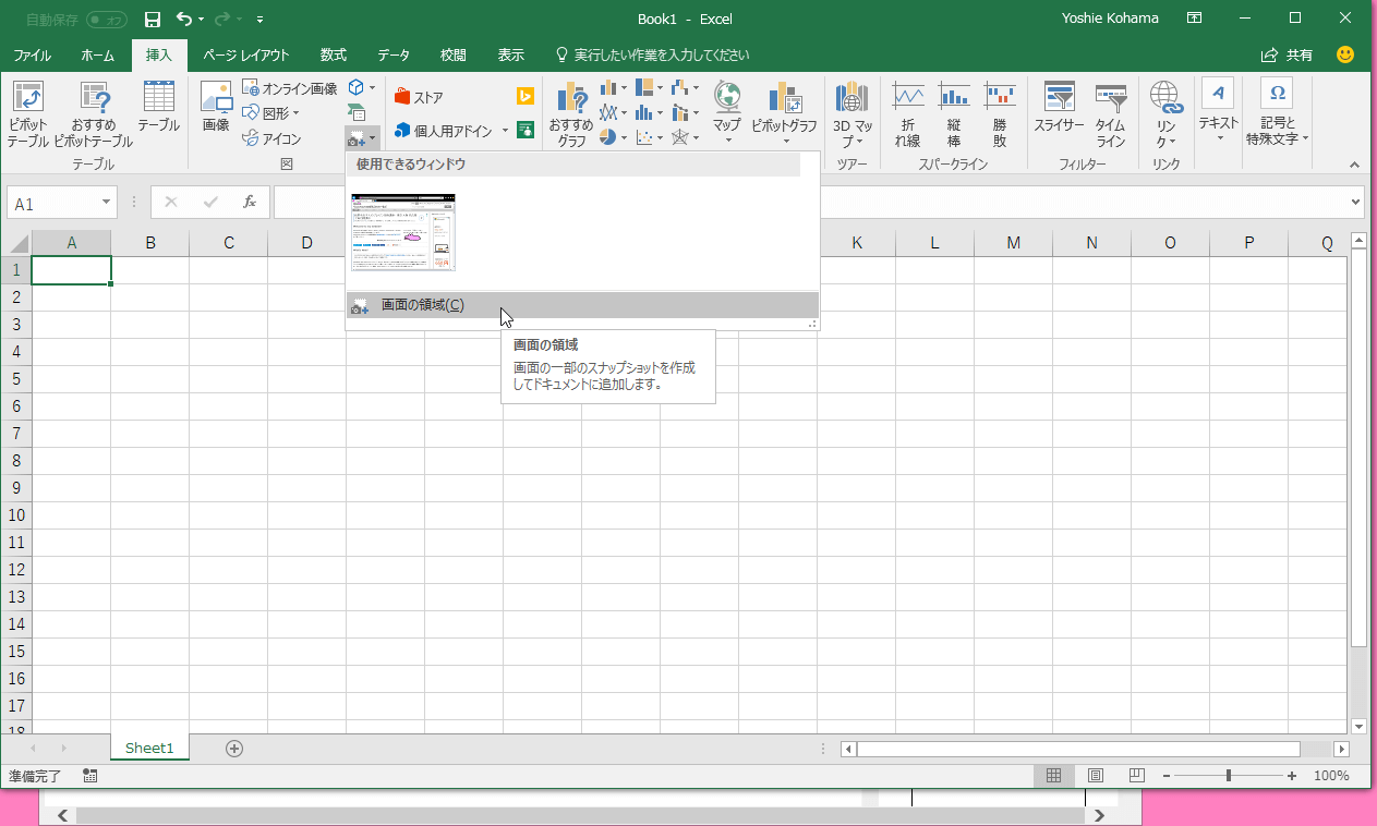 画面の一部のスナップショットを作成して文書に追加します。