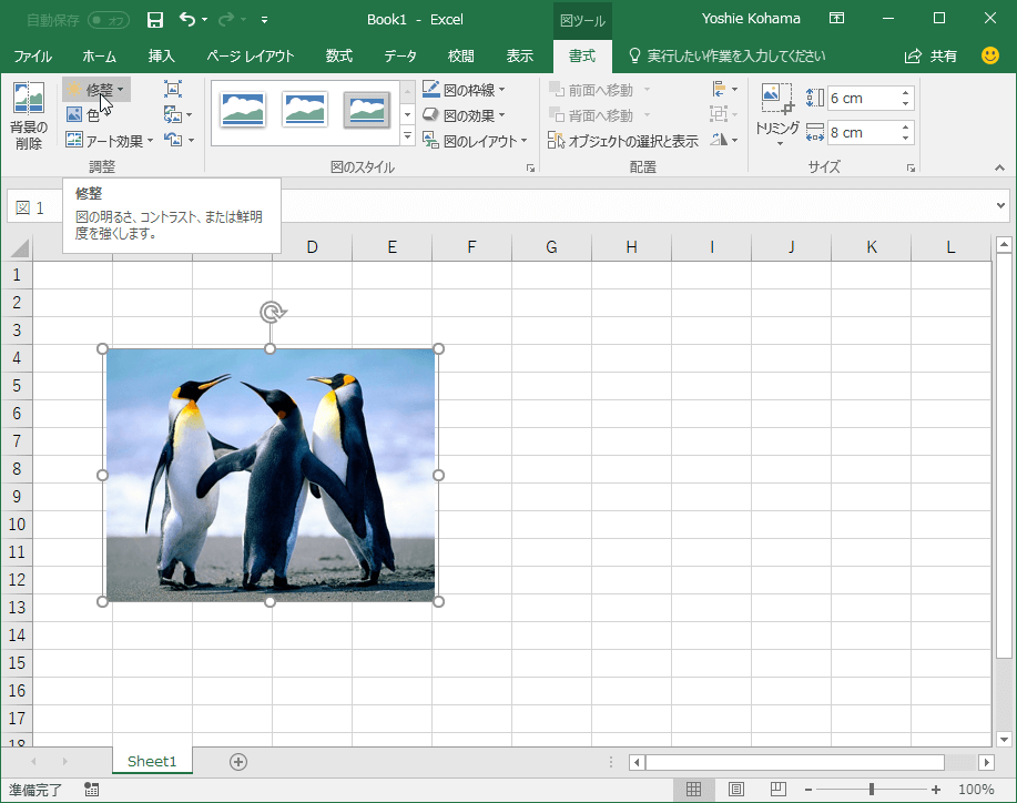 図の明るさ、コントラスト、または鮮明度を強くします。