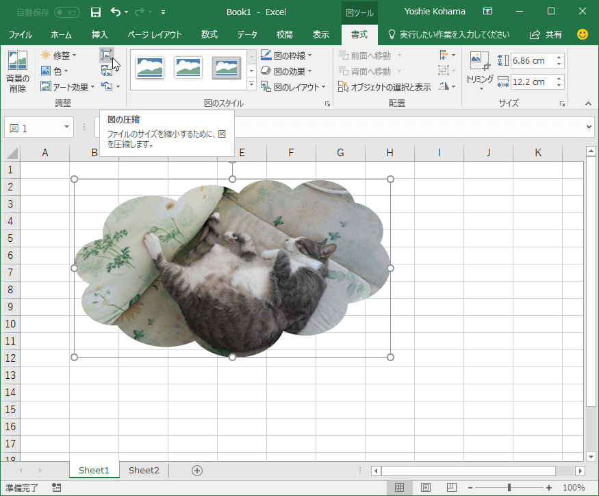 Excel 16 図を圧縮するには
