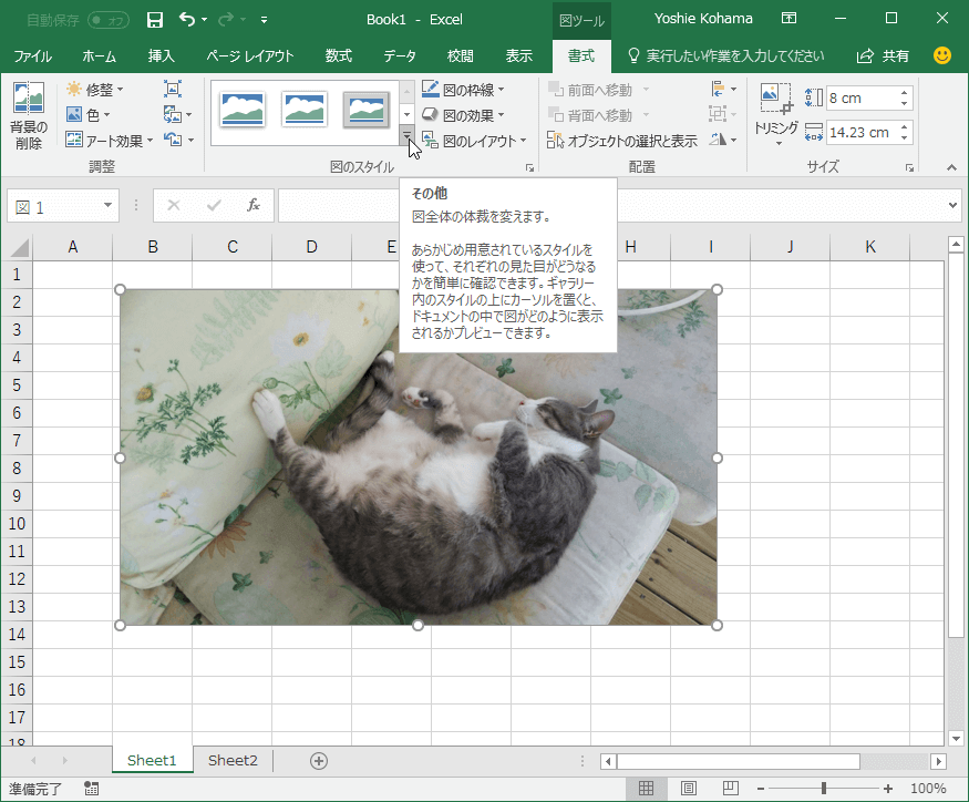 図全体の体裁を変えます。あらかじめ用意されているスタイルを使って、それぞれの見た目がどうなるかを簡単に確認できます。ギャラリー内のスタイルの上にカーソルを置くと、ドキュメントの中で図がどのように表示されるかプレビューできます。