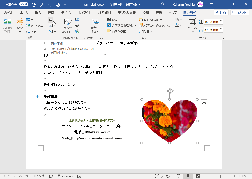 ファイルのサイズを縮小するために、図を圧縮します。