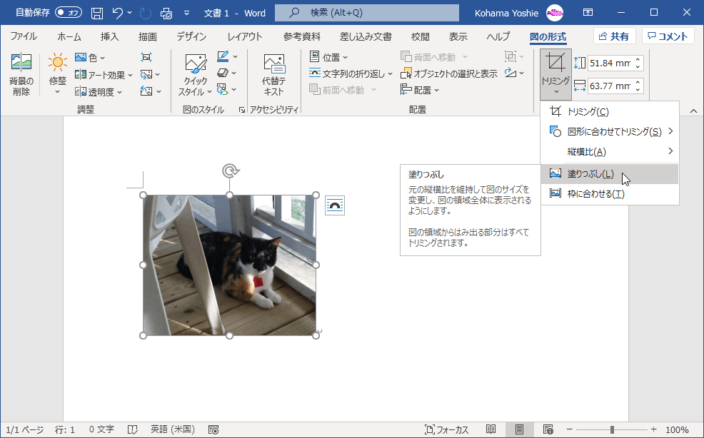 元の縦横比を維持して図のサイズを変更し、図の領域全体に表示されるようにします。図の領域からはみ出る部分はすべてトリミングされます。