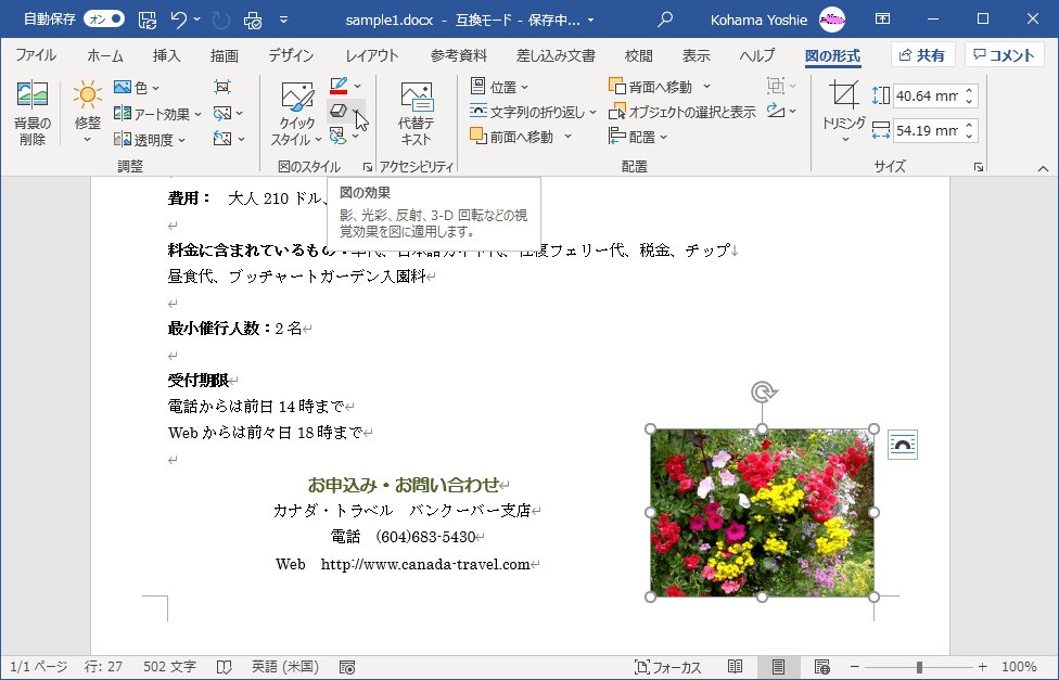 影、反射、光彩、ぼかし、面取り、3D回転などの視覚効果を図に適用します。