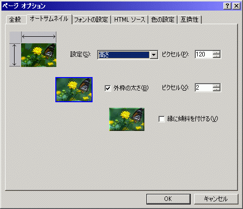 ページオプション